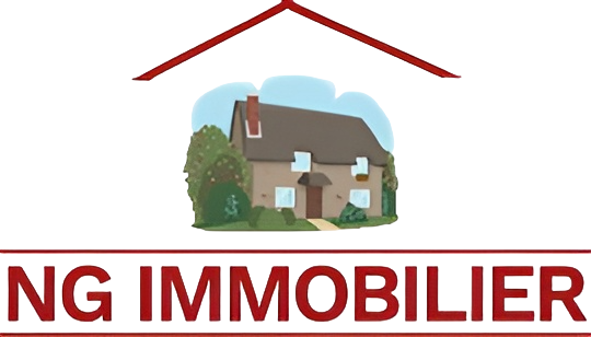 NG IMMOBILIER